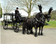 Horse drawn hearse