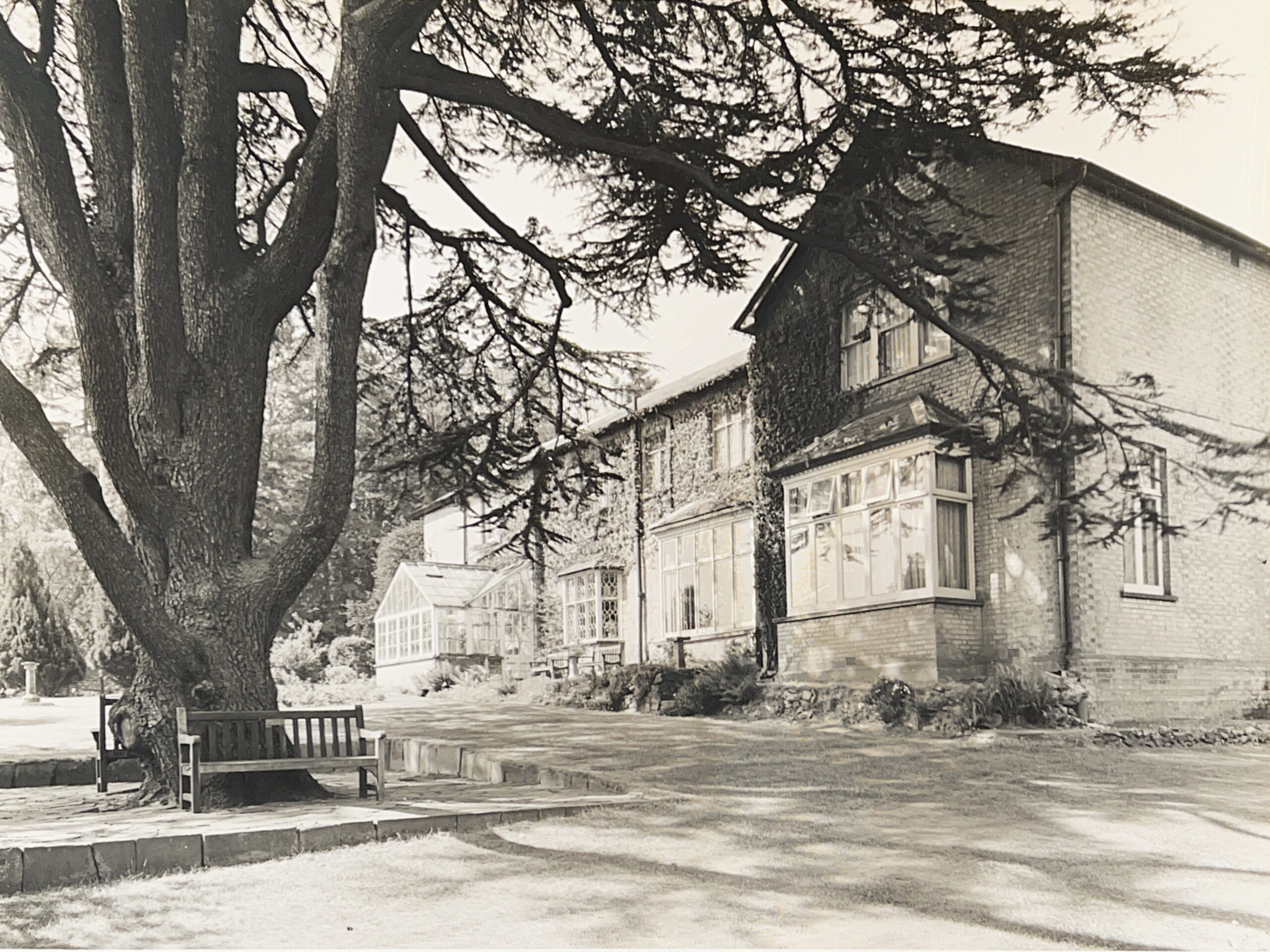 The Garden in the 1950s