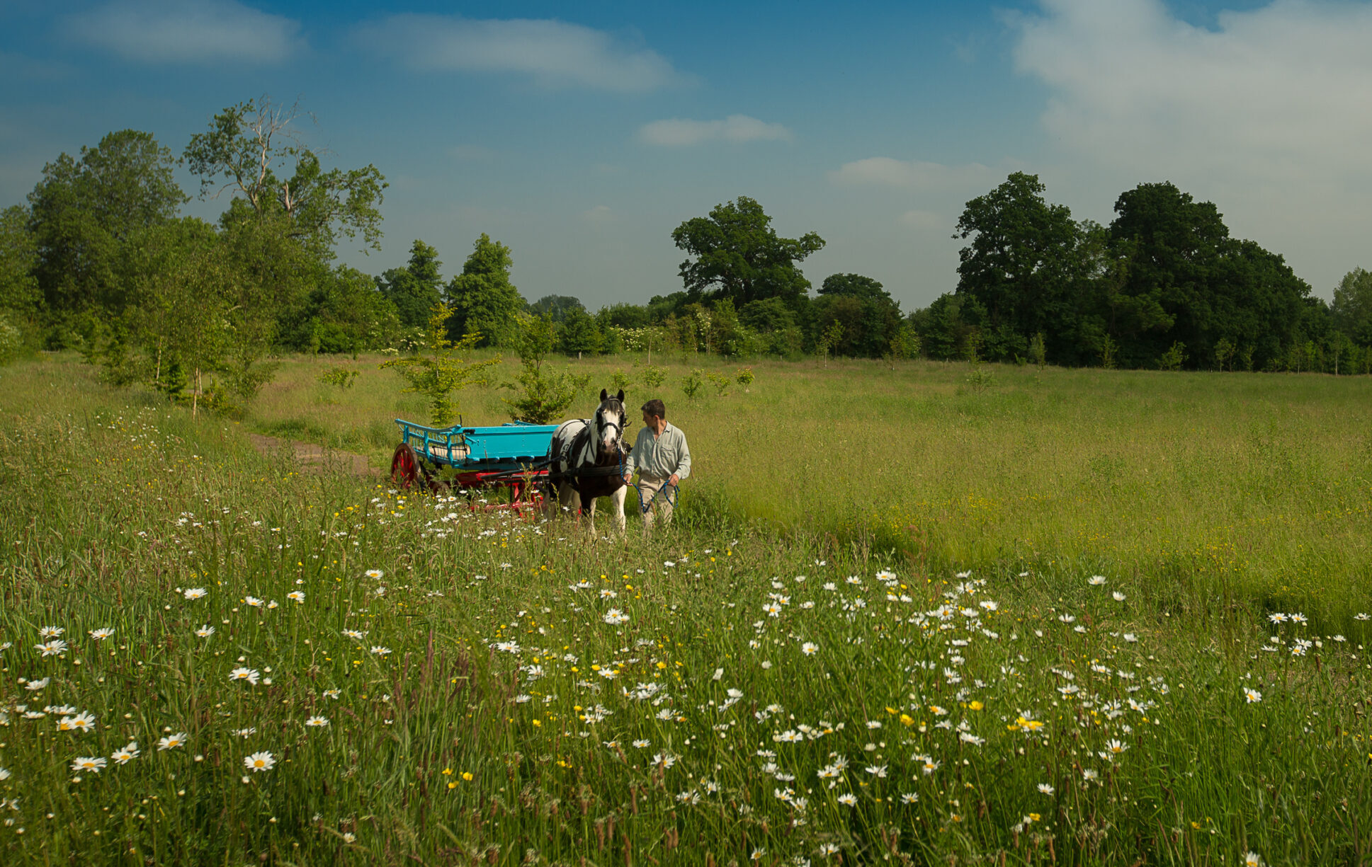Clandon Wood Natural Burial Ground, Surrey