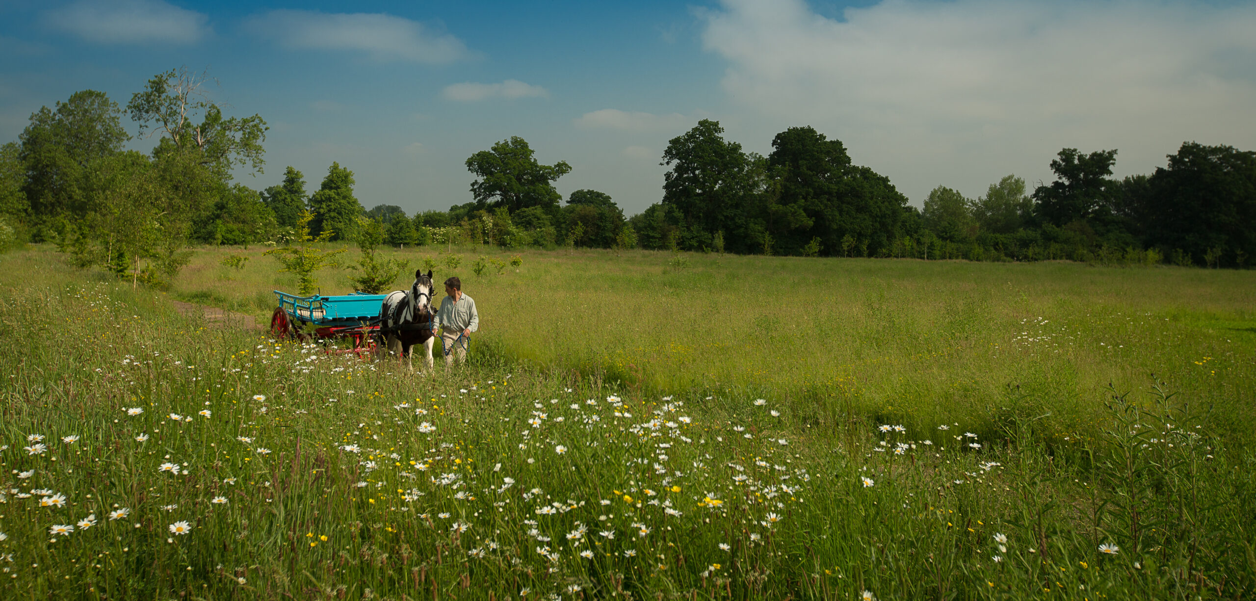 Clandon Wood Natural Burial Ground, Surrey