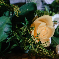 Peaceful flowers representing planning ahead